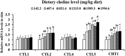 Dietary Choline-Enhanced Skin Immune Response of Juvenile Grass Carp Might Be Related to the STAT3 and NF-kB Signaling Pathway (Ctenopharyngodon idella)